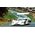 Marsh Models MM352B1BH​ Chaparral 2F 'Phil Hill - Mike Spence' 1st pl Brands Hatch 1967